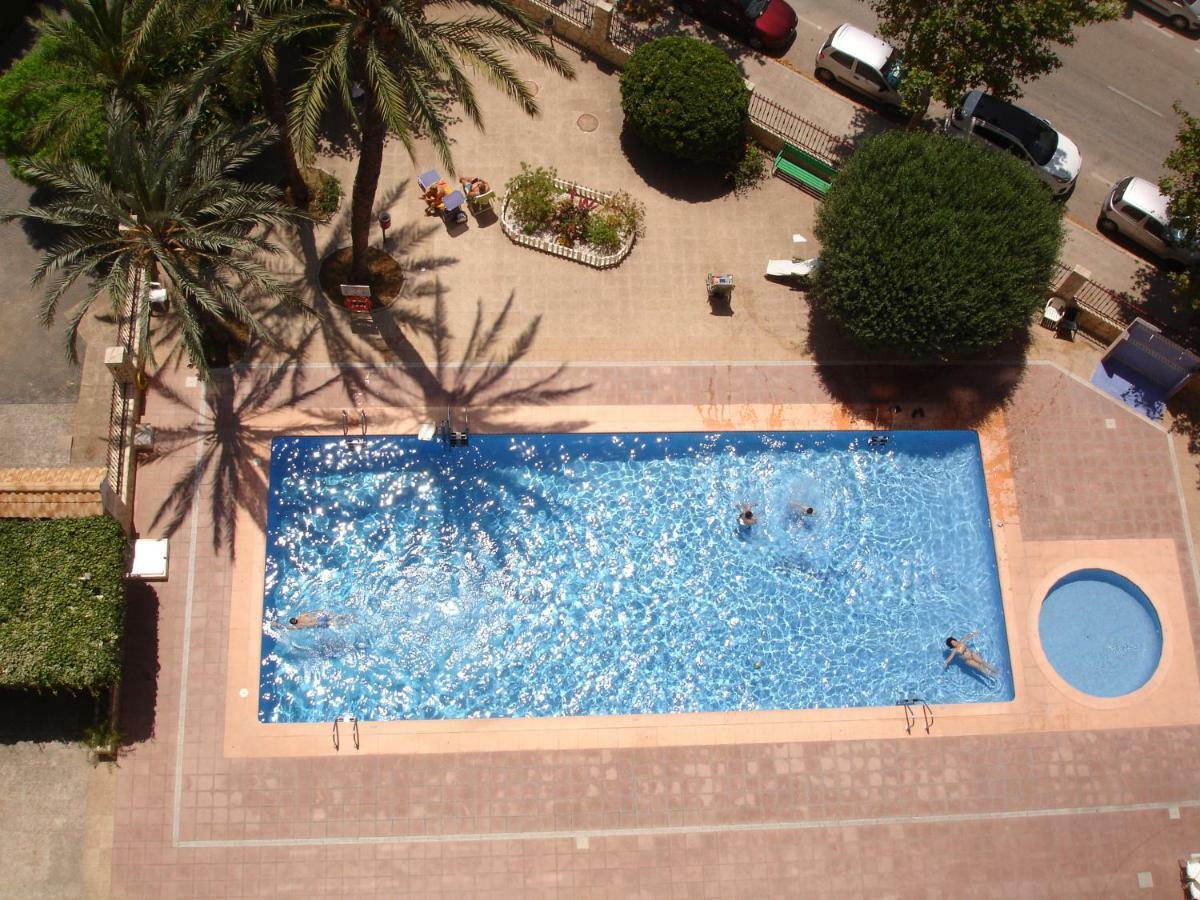 Apartmán Moby Dick Benidorm Exteriér fotografie